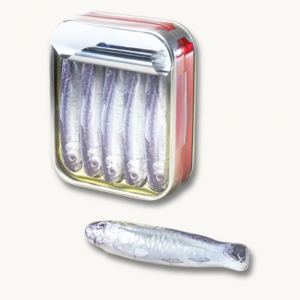 Boîte de sardines en chocolat - Boutique de chocolat à Montpellier, livraison dans toute la france
