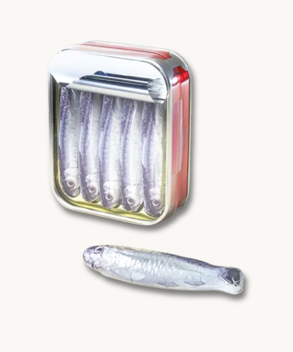 Product image of Boîte de sardines en chocolat