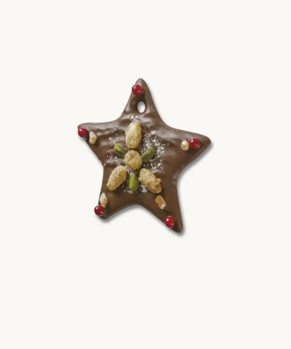 Product image of Etoile Mendiant chocolat lait