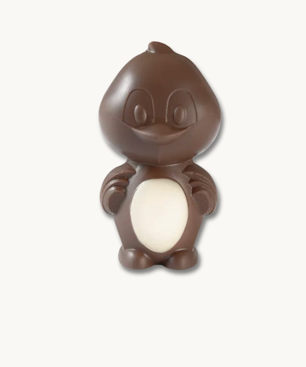 Product image of Canard en chocolat noir