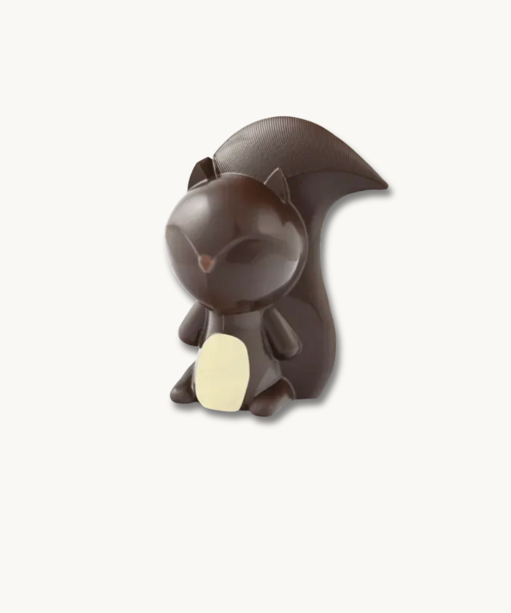 Product image of Écureuil au chocolat noir