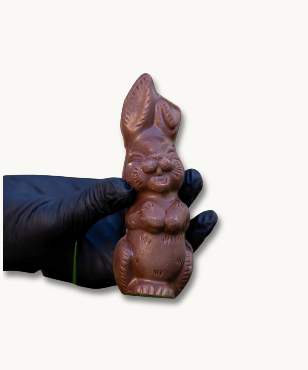 Lapin Rieur - Comptoir du chocolat Pâques