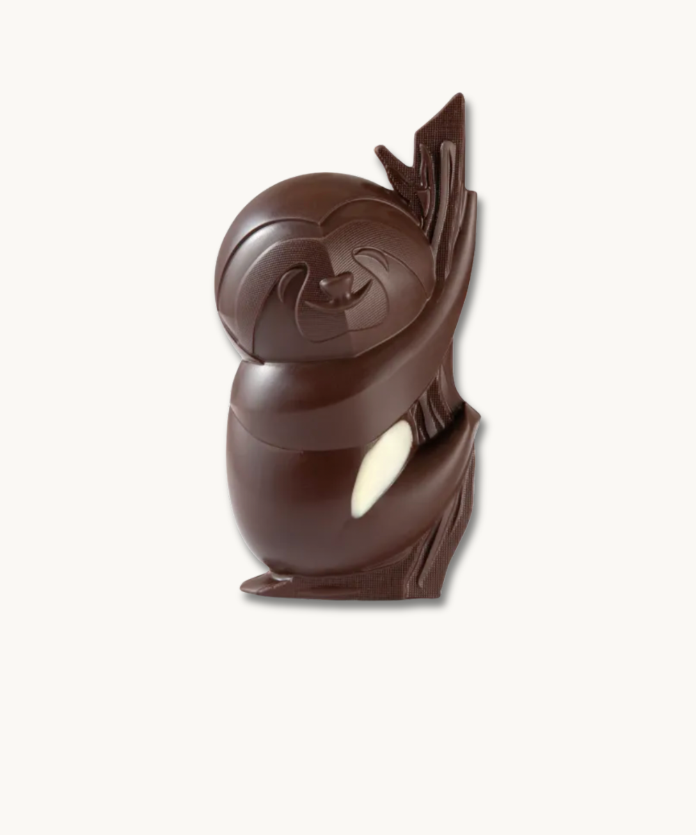 Product image of Paresseux Chocolat Noir
